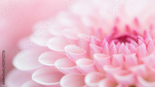 Pink Dahlia Close-Up: Delicate pink petals of a dahlia unfold in a captivating close-up, revealing intricate details and soft textures.