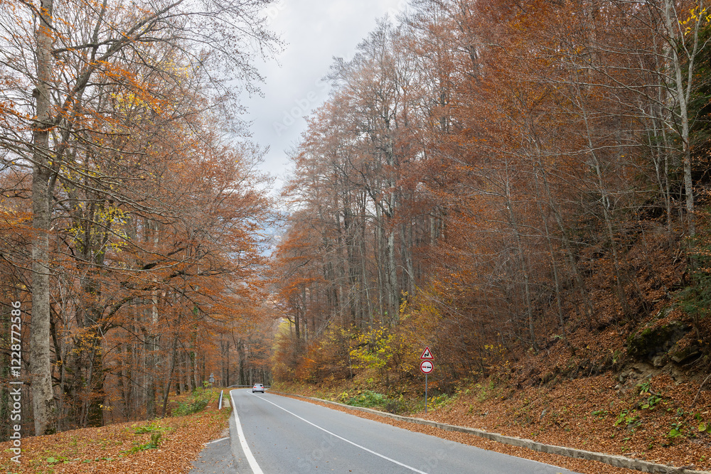 Fototapeta premium autumn road in the Bulgarian mountains