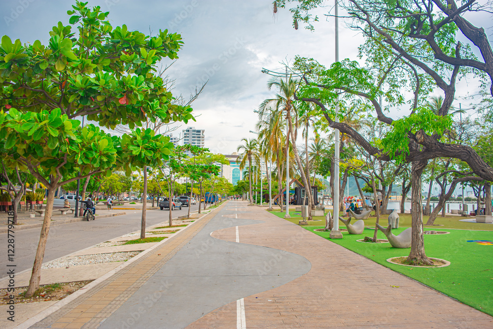 Obraz premium Scenic Pathway in Santa Marta, Colombia, Surrounded by Nature and Urban Life