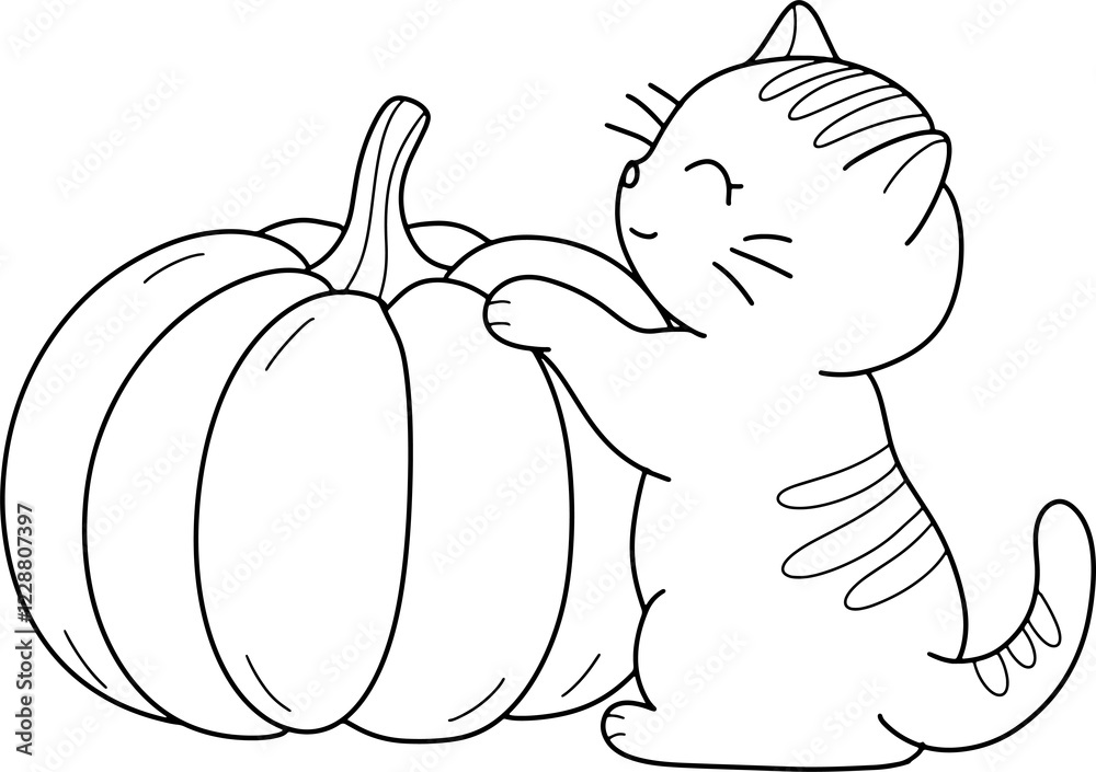 Fototapeta Cute cat with pumpkin cartoon animal outline,line art clipart png illustration