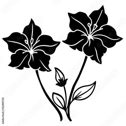 Lechenaultia Flower Duo Silhouette on White