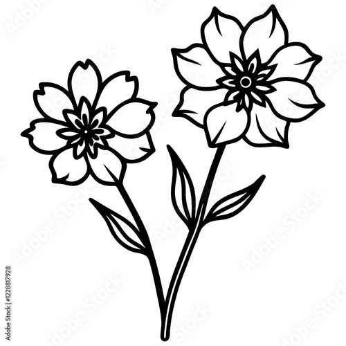 Lechenaultia Flower Duo Silhouette on White