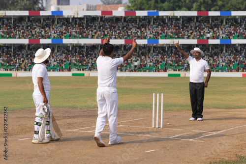 Cricket bowler appealing for a wicket, during cricket game photo