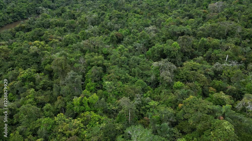 PERUVIAN AMAZON FROM A DRONE ON THE RIVER SURROUNDED BY RAINFOREST, AMAZONIAN FLOODED FORESTS IN THE PERUVIAN JUNGLE PERUVIAN AMAZON FROM A DRONE ON THE RIVER SURROUNDED BY RAINFOREST, AMAZONIAN FLOODED FORESTS IN THE PERUVIAN JUNGLE