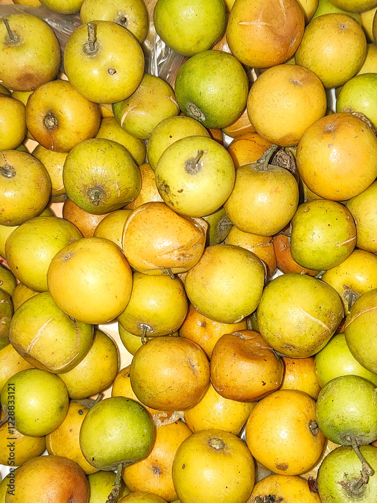 Green jujube of Indian ,dumps, dunks, Chinese date,Chinese apple or pomme surette ,bogori in Assamese Green jujube of Indian ,dumps, dunks, Chinese date,Chinese apple or pomme surette ,bogori in Assamese
