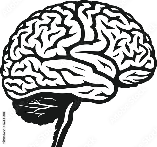 Human brain vector hand drawn anatomy illustration silhouette.