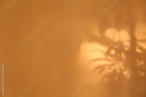 Shadow of tropical leaves o...