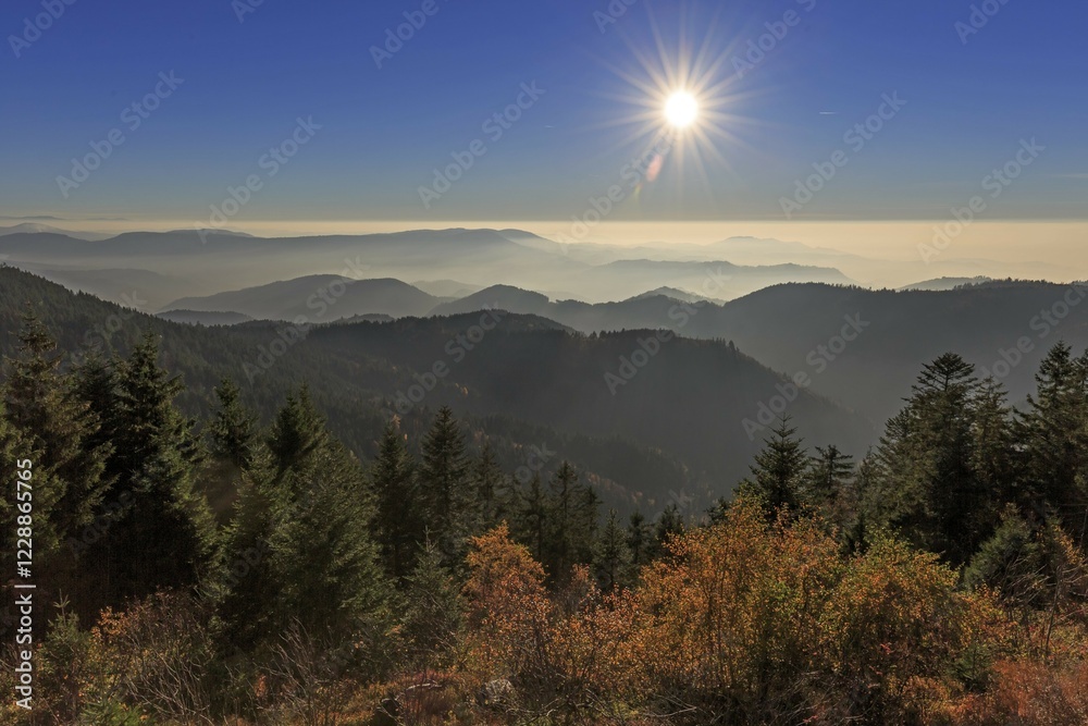 Obraz premium Sunset at Schliffkopf, Autumn, Black Forest Road, Black Forest National Park, Northern Black Forest, Baden-Württemberg, Germany, Europe