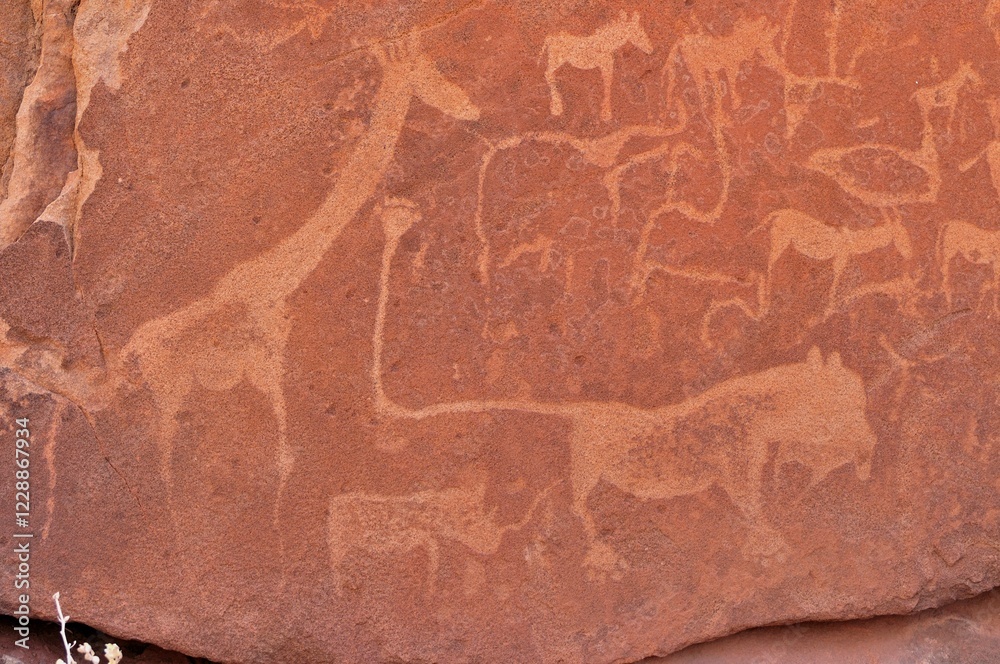 Fototapeta premium Petrograph of the famous lion with the kinked tail, Twyfelfontein, Namibia, Africa