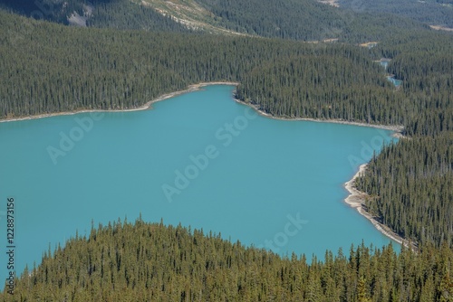 Turquoise glacier Peyto Lake, Banff National Park, Canadian Rockies, Alberta Province, Canada, North America photo