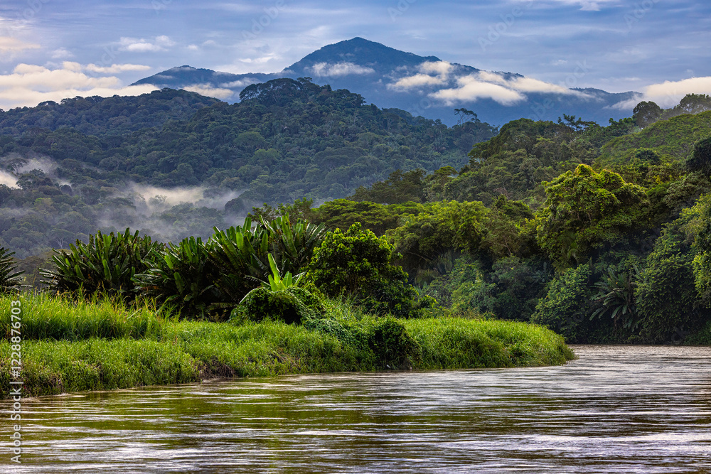 Fototapeta premium Costa Rica. Rio Grande de Tarcoles estuary area (mouth of the Tarcoles River) surrounded by rainforest and the southern slopes of the Cordillera Central volcanic range
