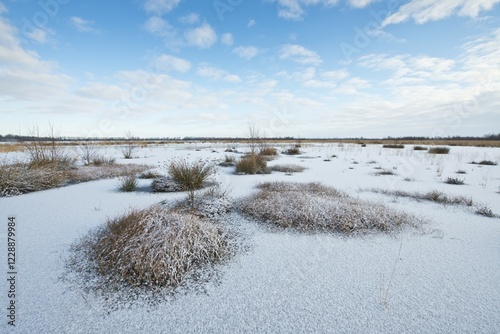 Winter, marsh, Emsland, Lower Saxony, Germany, Europe