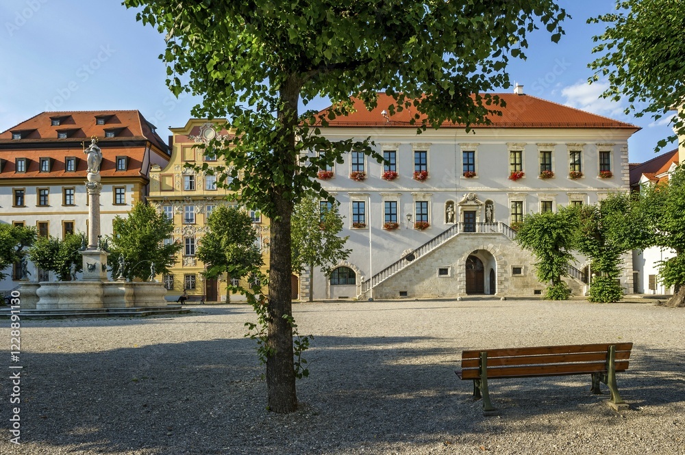 Fototapeta premium Zieglerhaus, Marien fountain, aristocratic town house Thurn- and Taxishaus, Town Hall, Karls square, Neuburg on the Danube, Upper Bavaria, Bavaria, Germany, Europe
