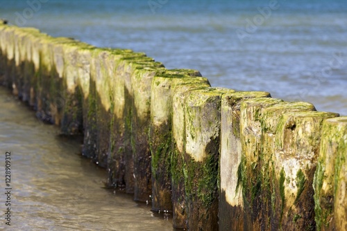 Groynes on Darsser Weststrand beach, Darss, Mecklenburg-Western Pomerania, Germany, Europe photo