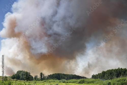 Fire on a grain field near Tutow, Nature Park Peental, Mecklenburg-Western Pomerania, Germany, Europe