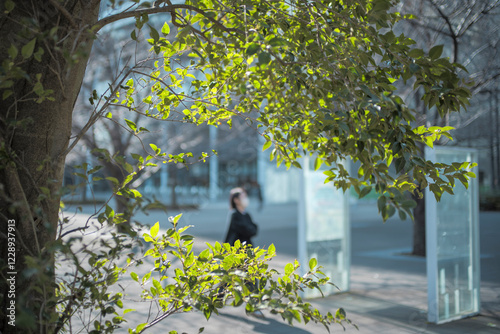 冬の公園の風景