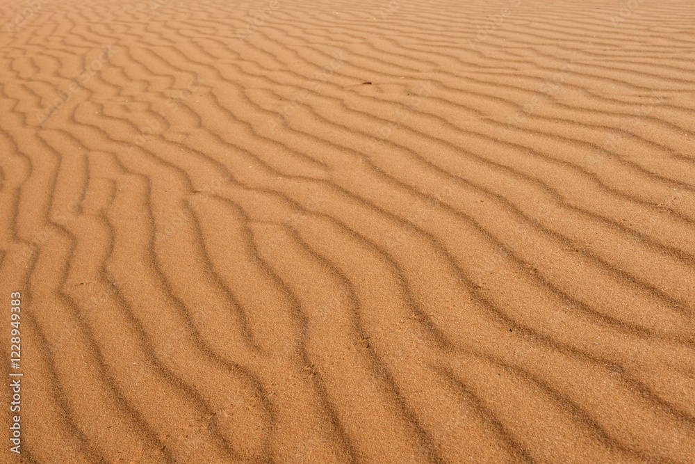 Structures in the sand, dune, Kalahari Desert, Namibia, Africa Structures in the sand, dune, Kalahari Desert, Namibia, Africa