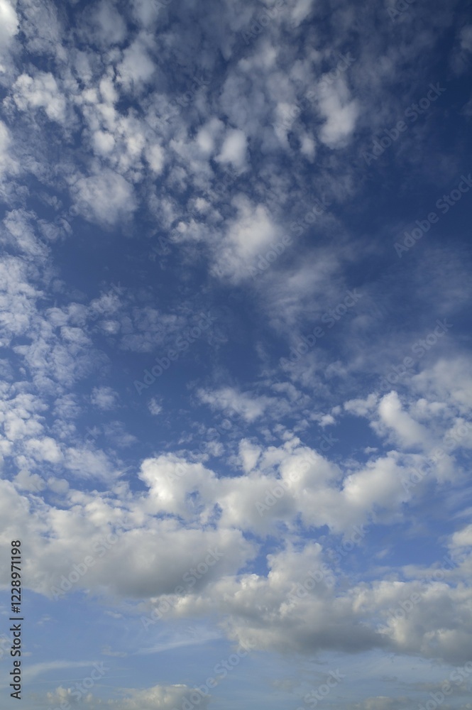 Naklejka premium Large fleecy clouds, altocumulus, Germany, Europe