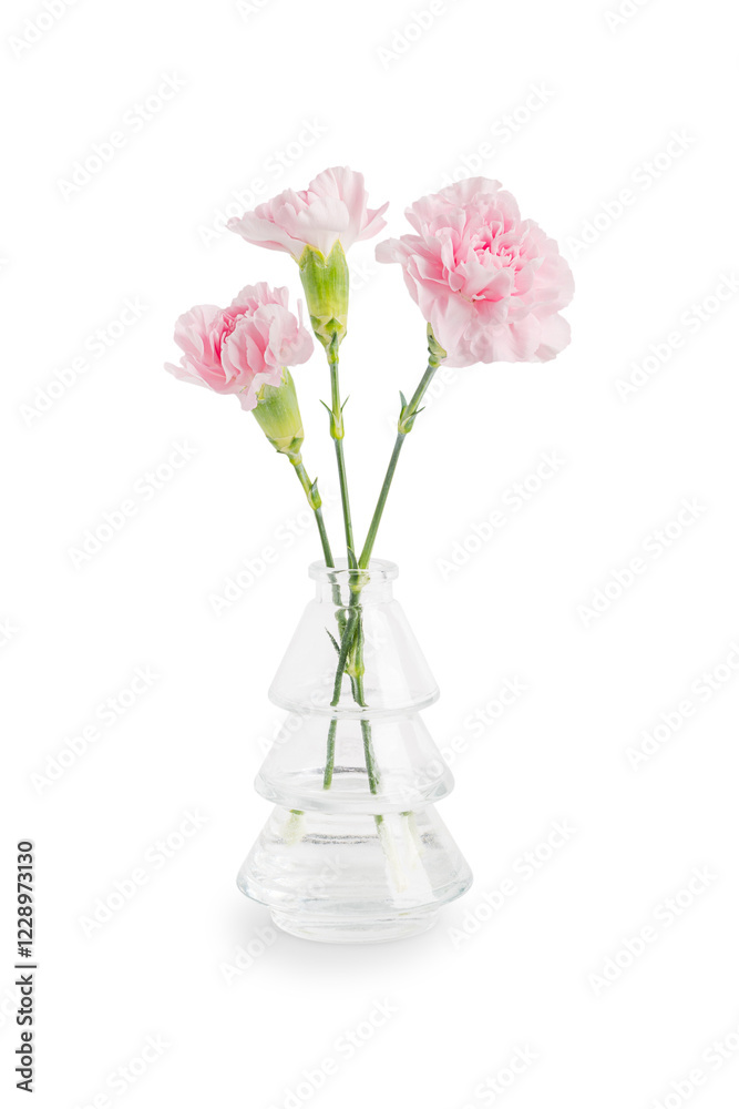 Three beautiful elegant carnation flowers of pastel pink colour with green stem in glass vase isolated on white background prepared as bouquet gift for celebration of birthday or wedding greeting Three beautiful elegant carnation flowers of pastel pink colour with green stem in glass vase isolated on white background prepared as bouquet gift for celebration of birthday or wedding greeting