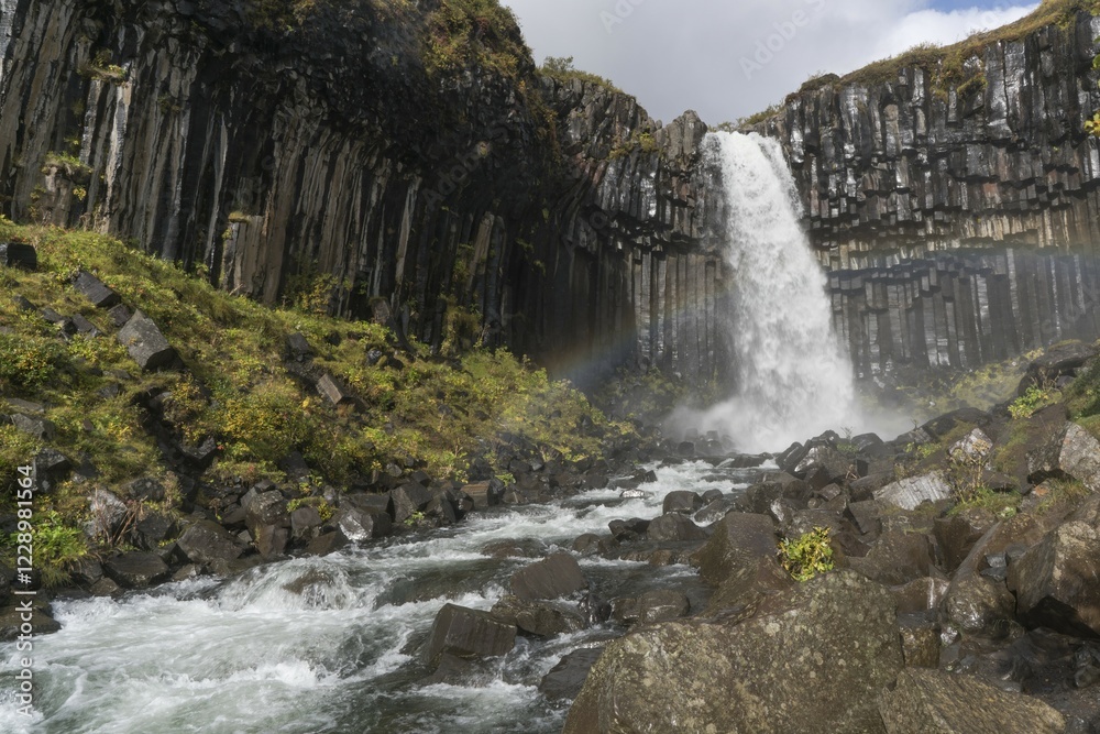 Fototapeta premium Svartifoss Waterfall, Skaftafell National Park, South Iceland, Iceland, Europe