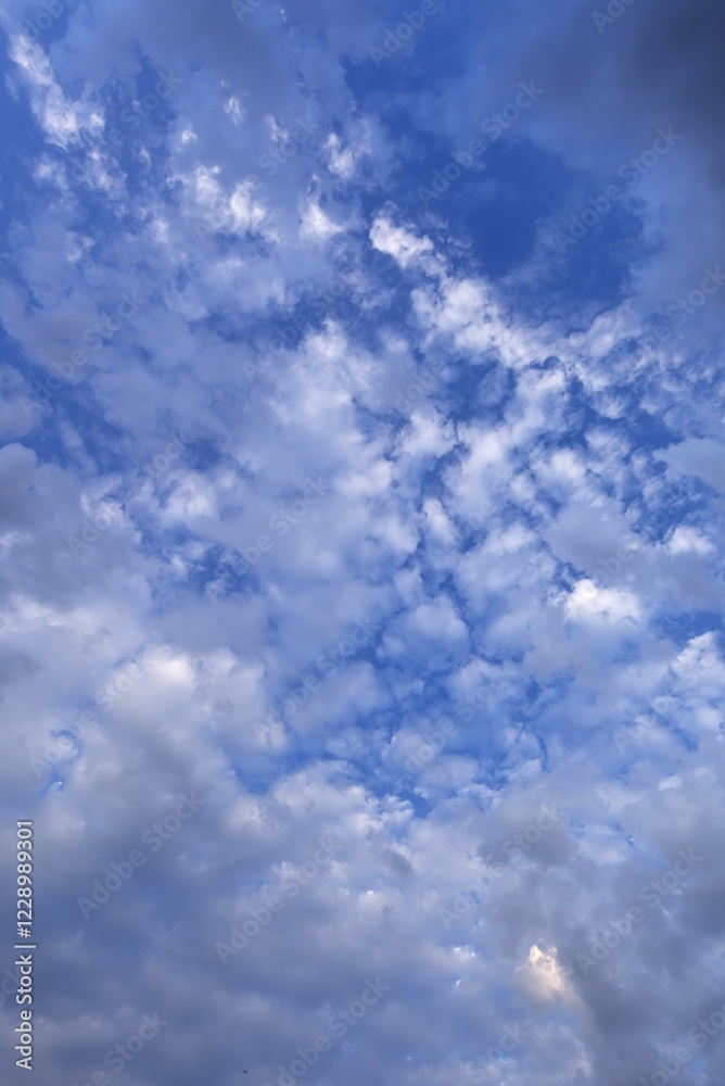 Fototapeta premium Large altocumulus clouds, Germany, Europe