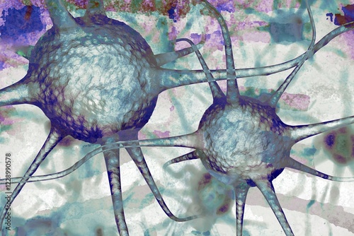 Nerves The cells transmit signals