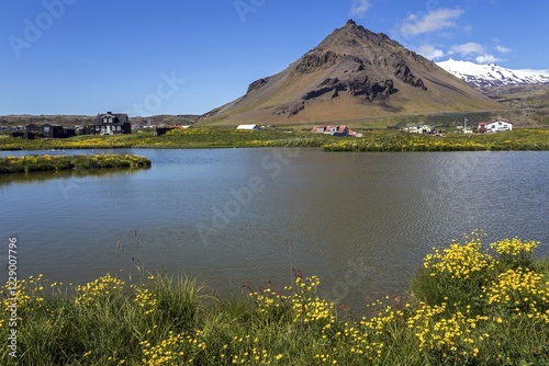 Arnarstapi municipality, Stapafell mountain and Snæfelljökull glacier at the back, Snæfellsness peninsula, Iceland, Europe photo