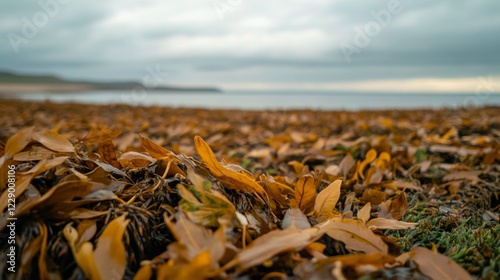 Golden seaweed blankets a beach, ocean background. photo