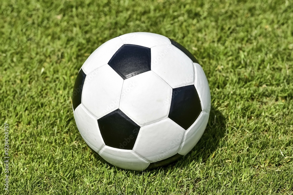 Black White soccer, leather ball on lawn Black White soccer, leather ball on lawn