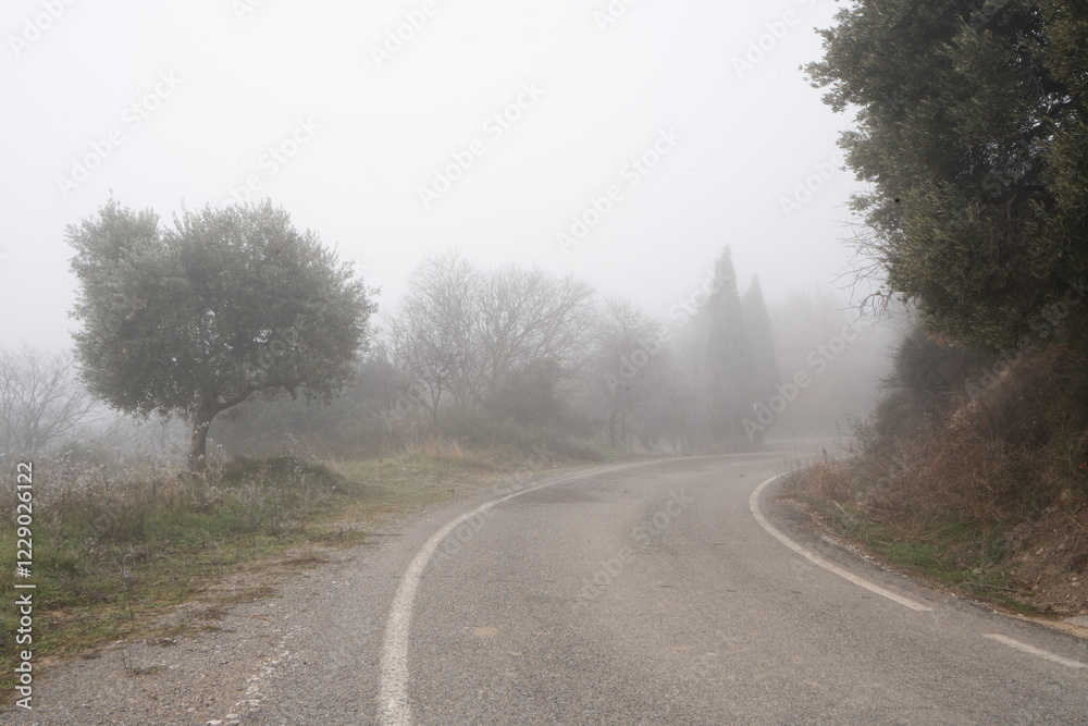 Fototapeta premium horizontal photograph of a rural road that is lost in the fog, some trees can be distinguished and then the landscape is lost in mystery.