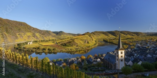 Moselschleife and vineyards, Bremm, evening light, Rhineland-Palatinate, Germany, Europe photo