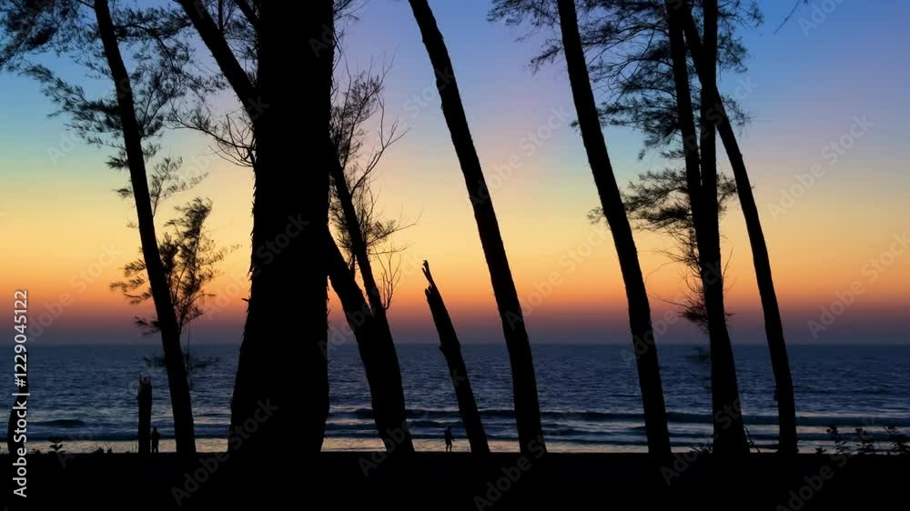 View of the beach and sea through the trees at sunset, sky of blue, orange and yellow colors View of the beach and sea through the trees at sunset, sky of blue, orange and yellow colors