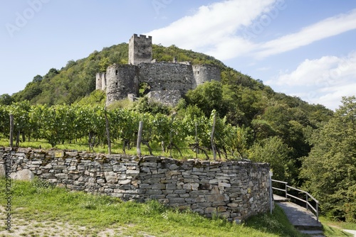 Hinterhaus castle ruins, Spitz, Wachau, Waldviertel, Lower Austria, Austria, Europe photo