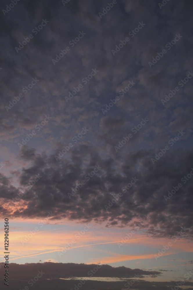Fototapeta premium Fleecy clouds, altocumulus, in the evening sky, Germany, Europe