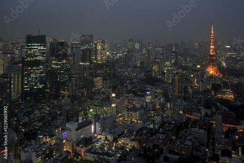 Photography View from the Mori-Tower to the city illuminated at night with the Tokyo Tower,