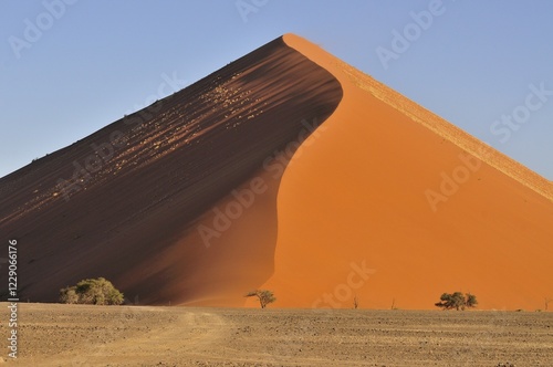 Sand dune in the morning light, near Sossusvlei, Namib Desert, Namib Naukluft Park, Namibia, Africa