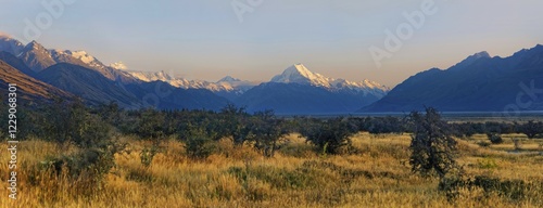 The peak of snowy Mount Cook, Aoraki with bush landscape at sunrise, Mount Cook National Park, Southern Alps, South Island, New Zealand, Oceania