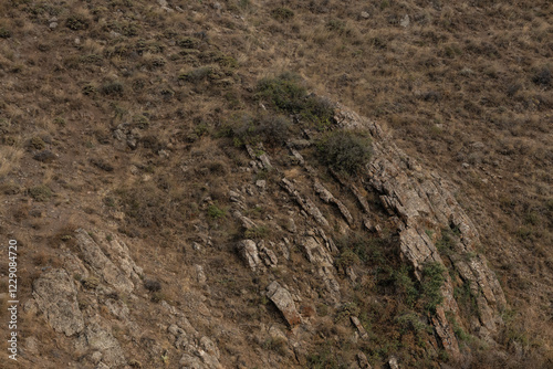 Rocky hillside with dry, brown vegetation.  Closeup of the rough texture of the terrain.  Sparse foliage clinging to the rocks.