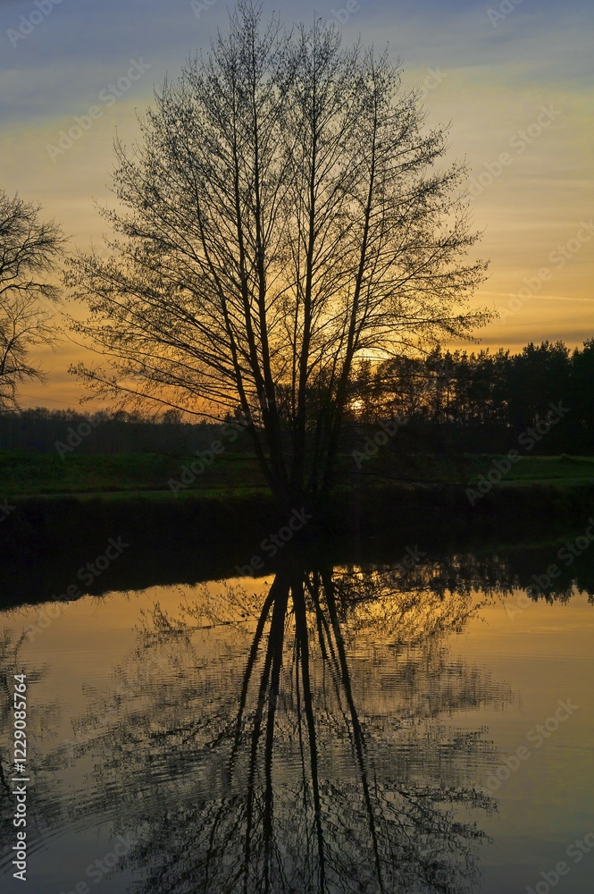 Evening atmosphere, backlit tree with reflections in a pond, Herpersdorf, Middle Franconia, Bavaria, Germany, Europe Evening atmosphere, backlit tree with reflections in a pond, Herpersdorf, Middle Franconia, Bavaria, Germany, Europe