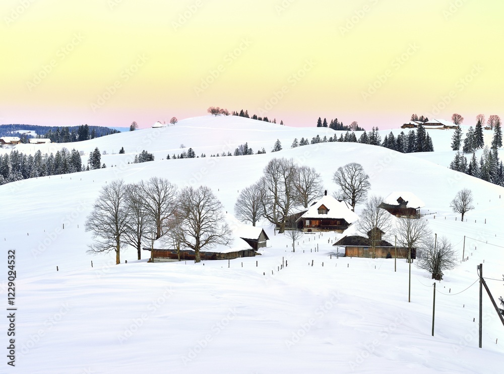 Obraz premium Farmhouses in snow-covered hilly landscape in the morning light, Schallenberg, Emmental, Canton Bern, Switzerland, Europe
