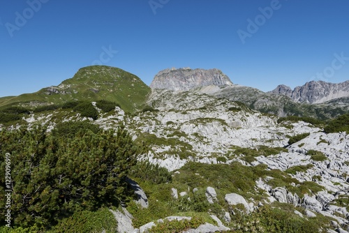 Karst landscape, Steinernes Meer and Rote Wand, Lechquellen Mountains, Vorarlberg, Austria, Europe photo