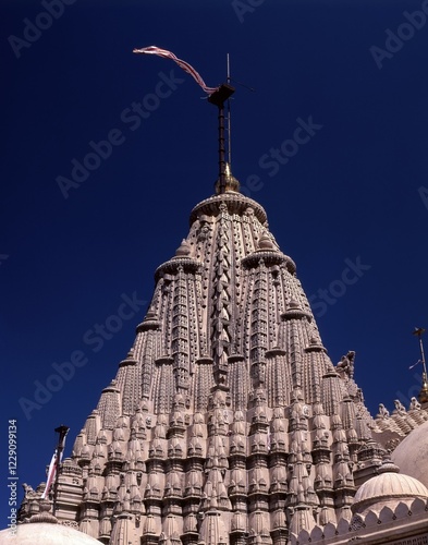 Tableau sur toile Shikara Adinath temple, Palitana, Gujarat, India