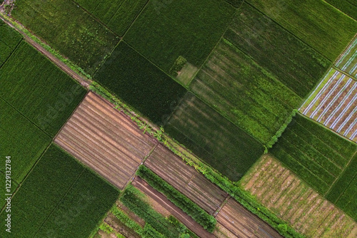 Top-down view of farmland divided into neat, colorful patches of green and brown, displaying rural patterns