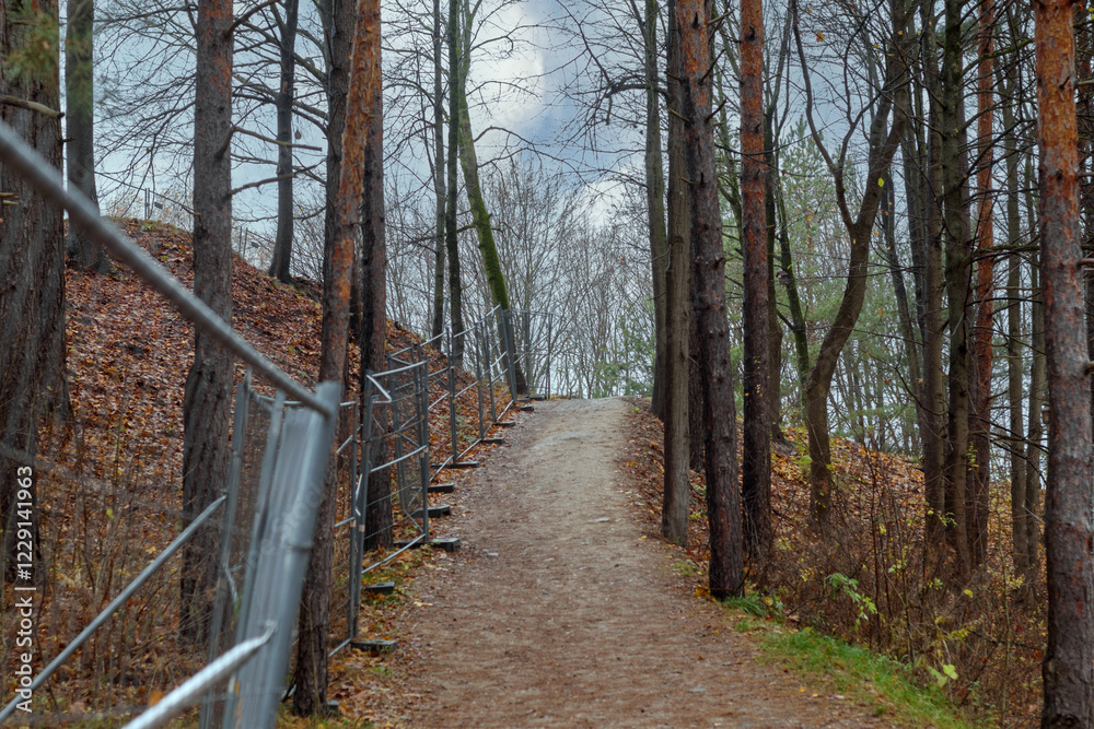 A forested landscape with a road leading through the trees and metal barriers visible on the sides of the road.
A forested landscape with a road leading through the trees and metal barriers visible on the sides of the road.