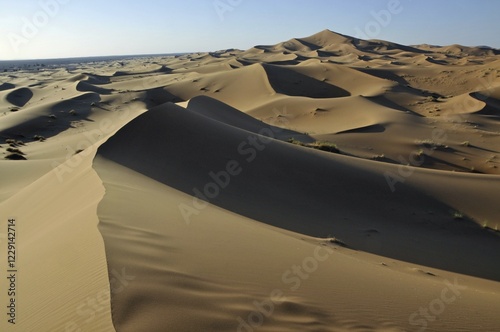 Desert, sand dune of Erg Chebbi, Morocco, Africa photo