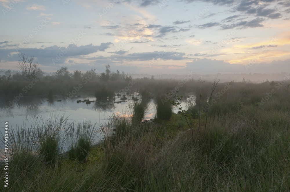 Fototapeta premium Fog in the morning in the Moor, Emsland, Lower Saxony, Germany, Europe