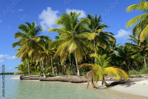 Palm Beach, Parque Nacional del Este, Dominican Republic, Central America photo