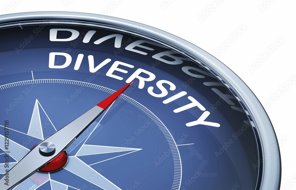 3D rendering of an compass with the word diversity