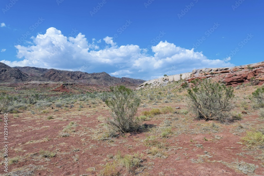 Fototapeta premium Aktau Mountains, Altyn-Emel National Park, Almaty Region, Kazakhstan, Asia