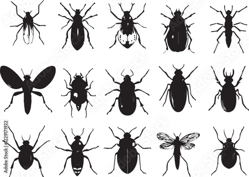 A set of insects silhouettes for flat design. Hand drawn vector illustration